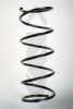 SPIDAN 55135 Coil Spring